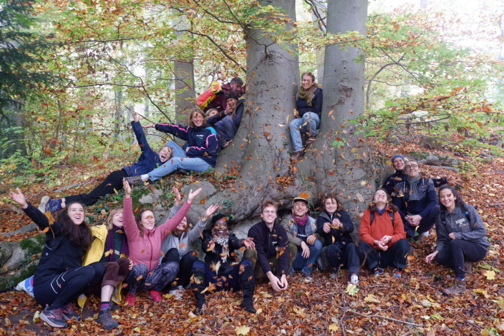 Foto von einigen Personen vor einem Baum, die Herbstlaub in die Luft werfen.
